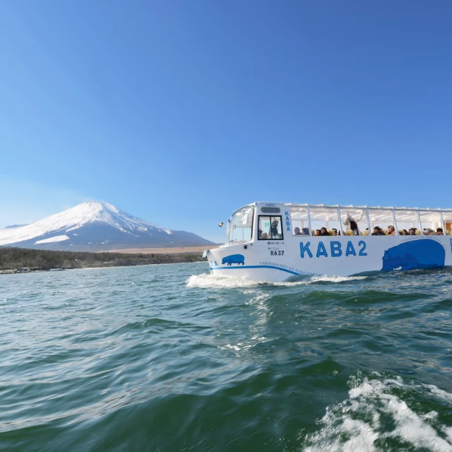 喜鴻假期 【東京海陸雙體驗５日】KABA河馬巴士、富士山下親子玩雪趣、迪士尼、螃蟹溫泉