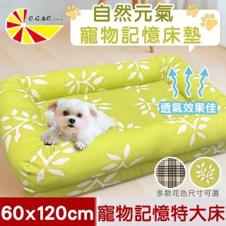 【凱蕾絲帝】臺灣製造-特大型含枕寵物記憶床墊/寵物睡墊/狗窩/貓窩-60*120cm-自然元氣(25kg以上適用)