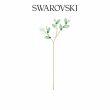 【SWAROVSKI 施華洛世奇】暢銷精選均一價專區多款任選(項鍊/手鍊/耳環/擺件)