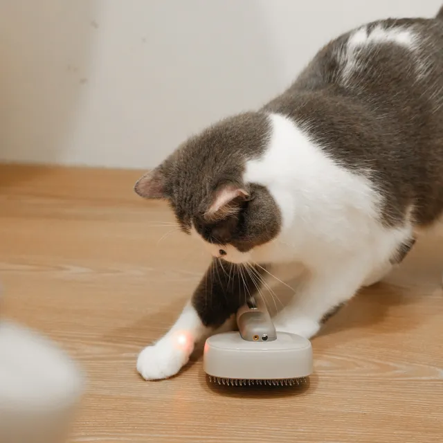 【Roommi】KIMOCHI 寵物負離子除毛梳(除毛梳 按摩梳 寵物 負離子)