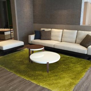 【SDL Home 山德力】薇尼絲地毯 -田埂綠 160x230cm(柔順 漸層 質感 長毛)