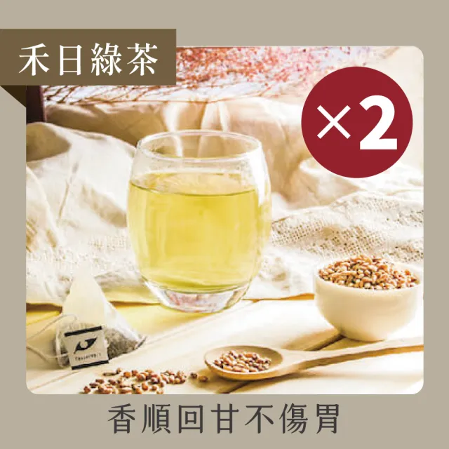 【Teascovery 發現茶】2袋禾日綠茶熱泡茶包（15入/袋；熱熱喝的兒茶素）