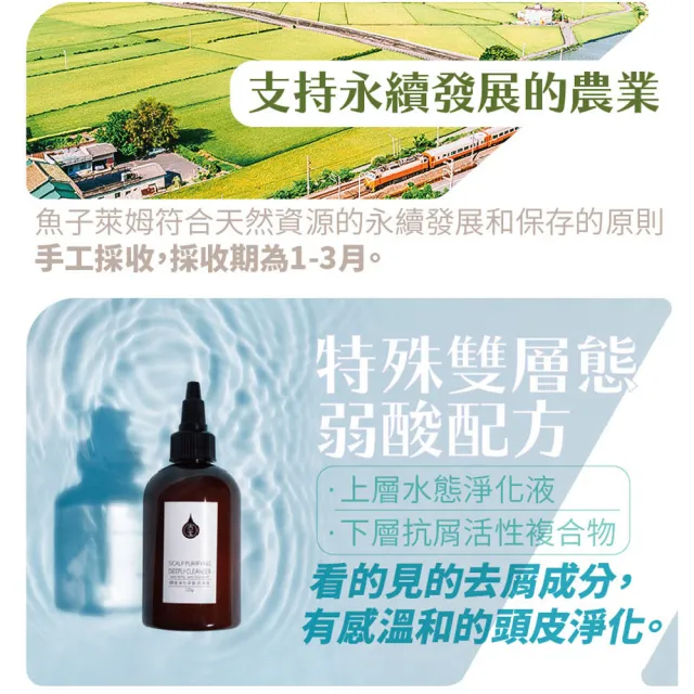 【古寶無患子】買1送1 頭皮淨化深層洗淨液120g(角質代謝/頭皮洗淨/去屑舒緩)