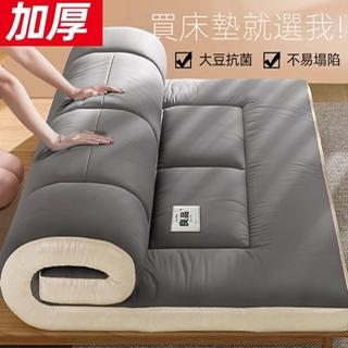 【高睿家紡旗艦店】蘇暖羊羔絨/10cm厚/120*190單人床(床墊 羊羔絨床墊 折疊床墊 預購15天)