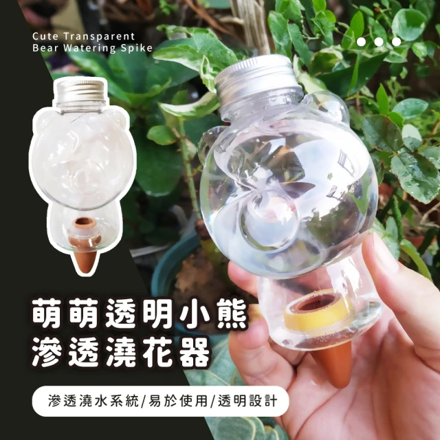 一次8天 萌萌透明小熊滲透澆花器-2入組(陶瓷水分管理 植物盆栽 自動滴水器 懶人澆水器 綠植造景)