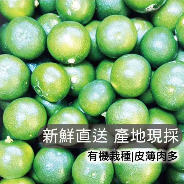 屏東金桔A級 友善小農 5斤箱裝(產地直銷 現採新鮮出貨)