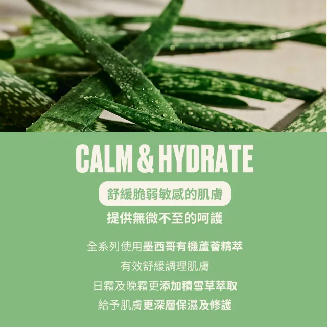 【THE BODY SHOP 美體小舖】蘆薈舒緩修護片狀面膜-18ML