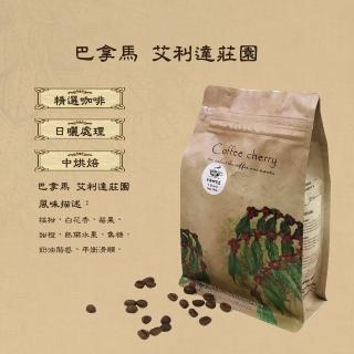 【卡果咖啡-自家新鮮現烘焙】巴拿馬 波奎特 艾利達莊園 中烘焙(半磅/袋 2袋/組 日曬處理法)
