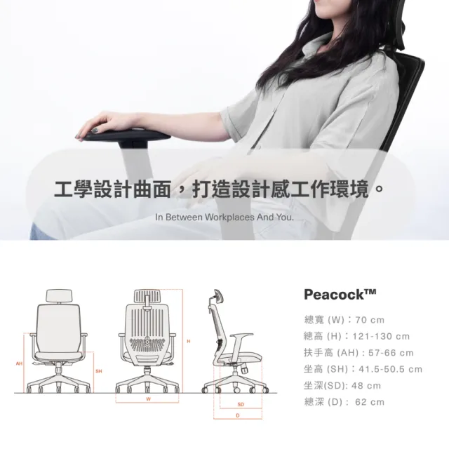 【backbone】台灣製Peacock華麗人體工學椅│全黑框│(辦公椅/椅子/人體工學椅)
