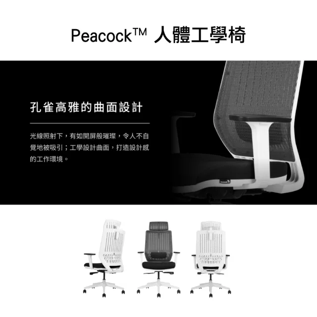 【backbone】台灣製Peacock華麗人體工學椅│白框款│(辦公椅/椅子/人體工學椅)