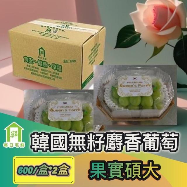 【每日宅鮮】韓國無籽麝香綠葡萄(600g±5% x2盒 麝香葡萄 免運)