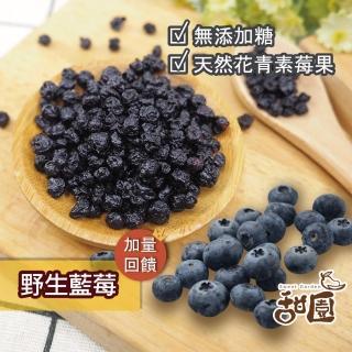 【甜園】野生藍莓 / 火龍果乾 x1包(★無新增糖★無糖果乾★藍莓果乾★紅火龍果乾★低熱量果乾)