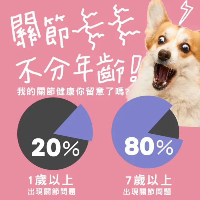 【IN-Plus】犬用關節保健-MSM強化舒緩蛋殼膜配方 60入/瓶(狗保健／狗關節/寵物保健)