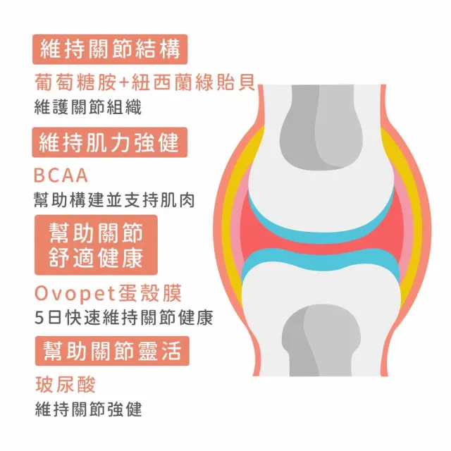 【IN-Plus】蛋殼膜關節保健-雙效呵護配方 60顆/罐(狗保健／狗關節/狗皮膚/寵物保健)