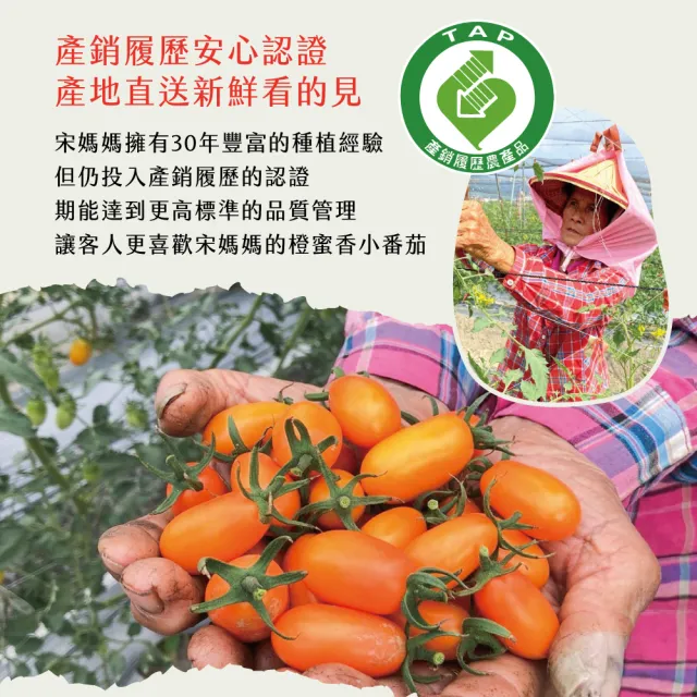 【初品果】宋媽媽橙蜜香小番茄禮盒3斤x1盒(年節禮盒_高雄美濃_產地直送_季節限定)