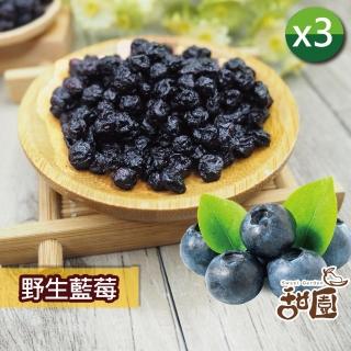 【甜園】野生藍莓 / 火龍果乾 x3包(★無新增糖★無糖果乾★低溫烘培★低熱量果乾★果肉Q彈)