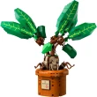 【LEGO 樂高】哈利波特系列 76433 魔蘋果(Mandrake 植物模型 禮物 雙11)