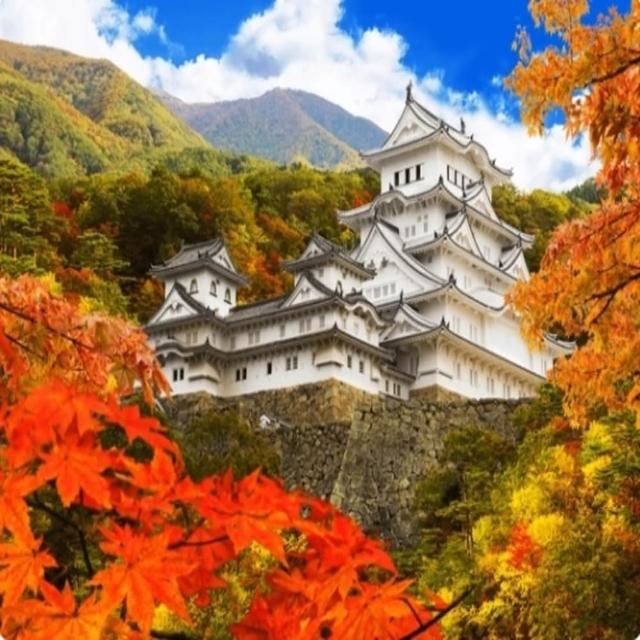 【喜鴻假期】【丹楓唯美京都５日】天空竹田城跡、姬路城好古園、平等院、伊根天橋立、龍蝦和牛溫泉
