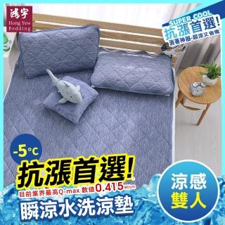 【HongYew 鴻宇】涼感-5度C 瞬涼可洗抗菌 保潔墊(雙人)
