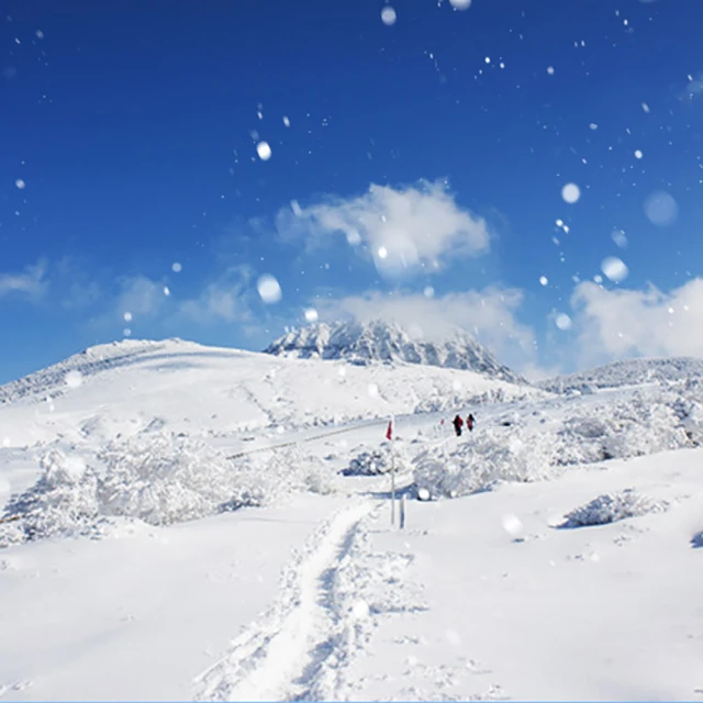 12-2月限量下殺↘ 易起瘋濟州~汗蒸幕、騎駱駝、漢拏山賞雪、E-MART、澎派海鮮鍋五日(早去晚回足五天)