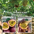 【初品果】南投埔里百香果A級禮盒5斤x2盒(原生種_香甜飽滿_產地直送_年節禮盒)