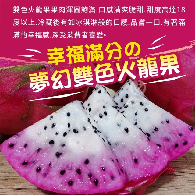 【初品果】南投夢幻雙色火龍果6斤5-7顆x1盒(雙色冰淇淋_季節限定_鮮採直送)