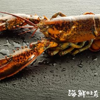 【海鮮主義】生波士頓龍蝦2入組(450g/隻)