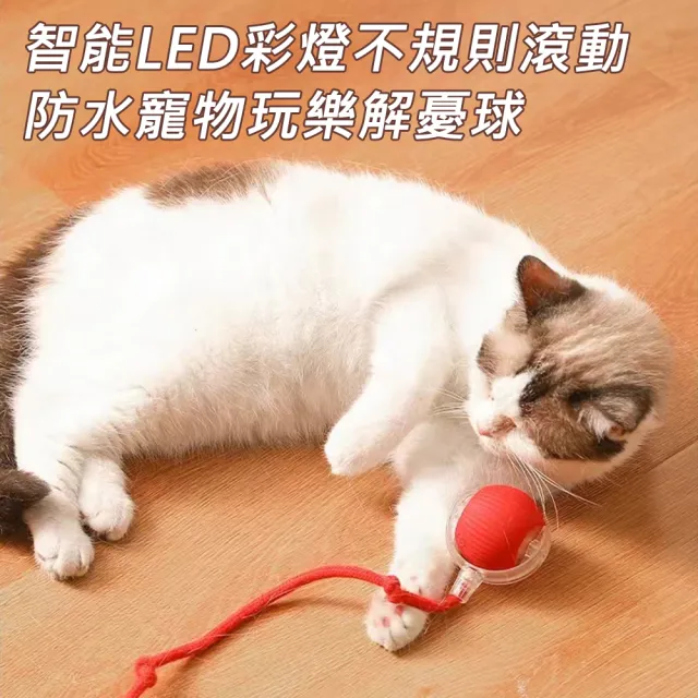 【AFAMIC 艾法】2入組-智能電子LED彩燈不規則滾動防水寵物玩樂解憂球(原廠正貨 逗貓棒 互動 貓狗 寵物球)