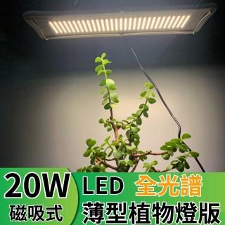 【JIUNPEY 君沛】LED20W薄型植物燈版 20瓦磁吸式植物燈 仿日照陽光植物燈全光譜 高演色(植物生長燈 植物燈)