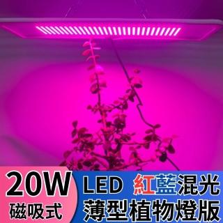 【JIUNPEY 君沛】LED20W薄型植物燈版 20瓦磁吸式植物燈 紅藍光譜(植物生長燈 植物燈)