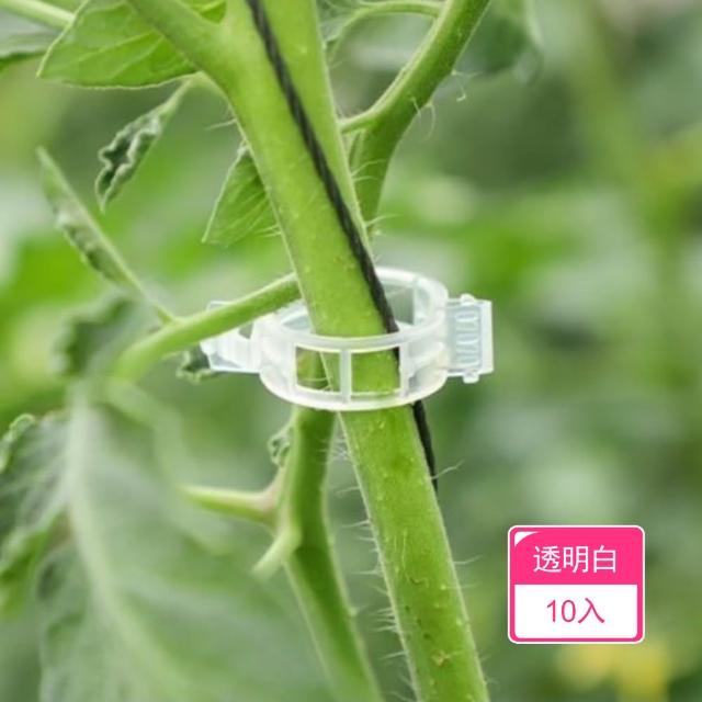 【晴安居】PP材質植物固定夾 環保型卡扣設計免搭架藤蔓綁夾(10入)