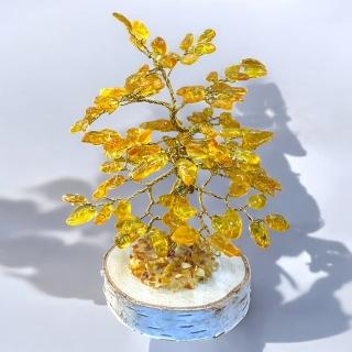 波蘭天然金琥珀樹(135片)