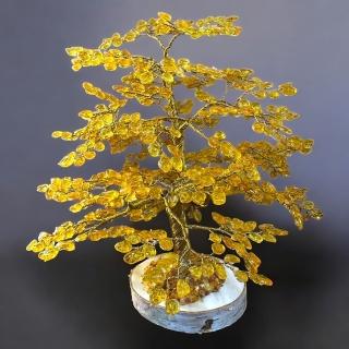 波蘭天然金琥珀樹(630片)