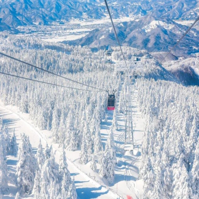 喜鴻假期 【東北藏王樹冰７日】草莓吃到飽、銀山溫泉街、超萌狐狸村、大內宿合掌村、淺草觀音寺