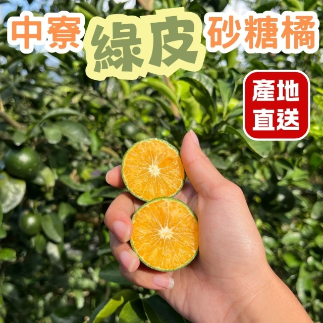 探果籽 買一送一南投中寮綠皮砂糖橘3斤-共6斤(超級稀有＿送禮首選＿季節限定_秒殺款)