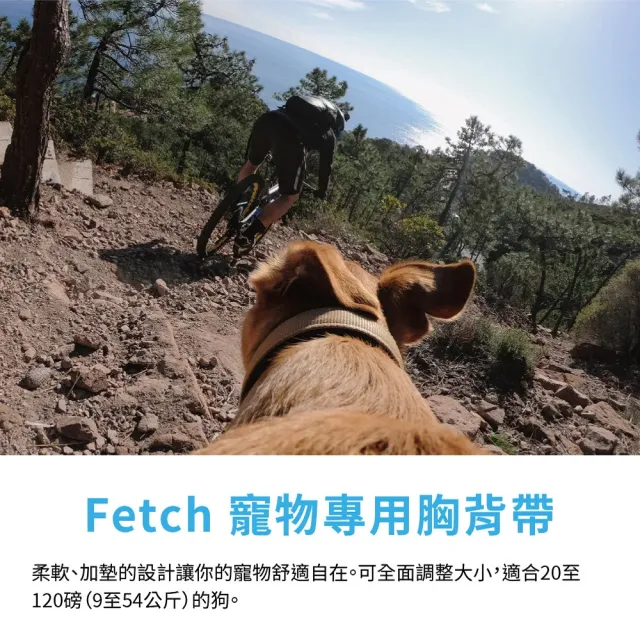 【GoPro】HERO 寵物開心跑套組