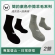【WOAWOA】2入組 極致速乾登山羊毛襪-中筒(100%防縮美麗諾羊毛 登山襪 保暖襪 除臭襪 羊毛襪 厚襪)
