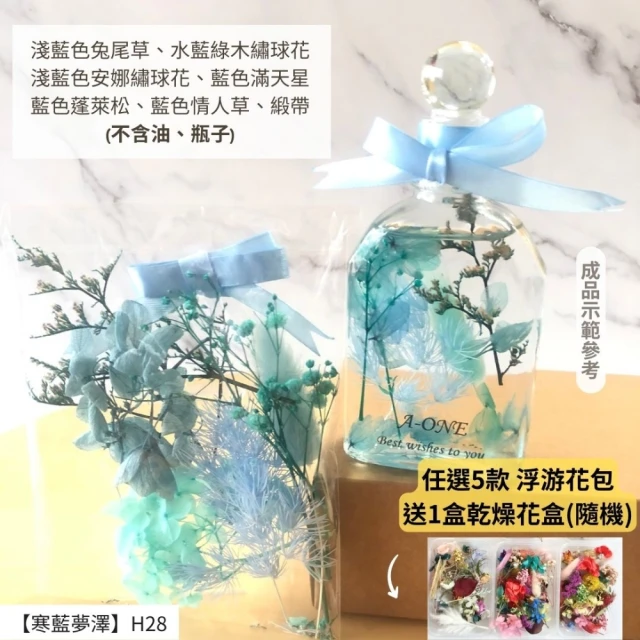 CNFlower 西恩 甜蜜庭園 恆星花禮 多色(送禮推薦/