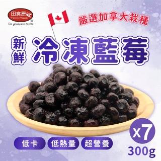 【田食原】新鮮冷凍藍莓300gX7包(解凍即食 低卡水果 低熱量 健康餐 冷凍鮮果 多種料理搭配)