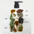 【KAFEN 卡氛】加大版 療癒草本洗髮系列800mlX2(限時2入組 回購率NO.1 艾草控油/龍膽護色/芍藥去屑)