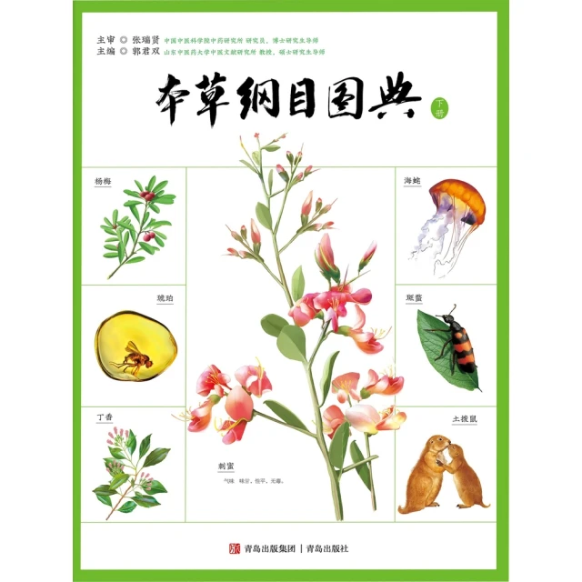 【momoBOOK】自律神經失調全圖解：壓力大才是主因！一本