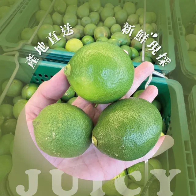 【屏東檸檬】有籽檸檬 10斤箱裝(產地直銷 現採新鮮出貨)
