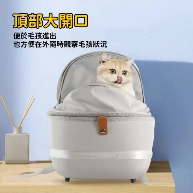 【Petvibe】Petseek寵覓輕便透氣寵物外出包(太空包/貓背包/貓咪後背包/貓外出包/寵物外出背包)