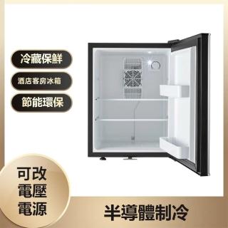 【LEZUN 樂尊】小型迷你冷藏櫃電子製冷小冰箱(冰箱/冷藏櫃/保鮮櫃/飲料櫃/留樣櫃/冰吧)