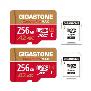 【GIGASTONE 立達】Camera Pro MAX microSDXC UHS-Ⅰ U3 A2 4K 256GB錄影監控記憶卡-2入組(網路攝影機)