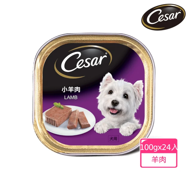 寵物狗罐頭