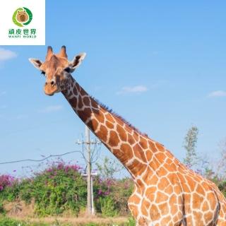 【臺南頑皮世界】動物園單人學童票6歲-12歲★假日不加價(歐享券-玩樂生活休息)