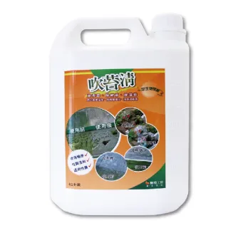 【台灣吹苔清】除青苔清潔劑-4公升重量級超大罐裝(地板外牆除霉水垢傢俱柵欄露營涼亭公園球場)