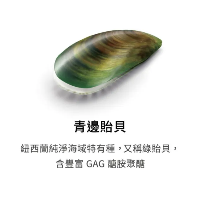 【PERNATON 百通關】溫/涼感型凝膠 任選1入/125ml+1入/50ml(瑞士原裝進口 擦的葡萄糖胺)
