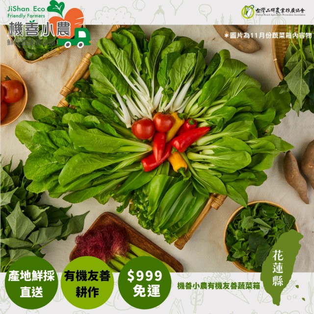 【機善小農_蔬菜箱 每週五出貨D+7】花蓮縣_家庭號12件(有機友善/產地鮮採直送/支持家鄉好農產)